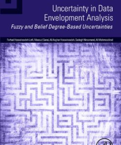 Uncertainty in Data Envelopment Analysis - 1st Edition