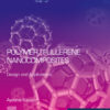 Polymer/Fullerene Nanocomposites - 1st Edition