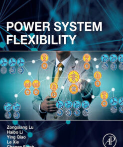 Power System Flexibility - 1st Edition
