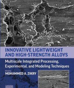 Innovative Lightweight and High-Strength Alloys - 1st Edition