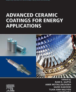 Advanced Ceramic Coatings for Energy Applications - 1st Edition