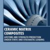 Ceramic Matrix Composites - 1st Edition