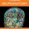 Human Neuroanatomy - 1st Edition