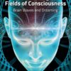 The Electromagnetic Fields of Consciousness - 1st Edition