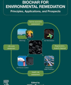Biochar for Environmental Remediation
