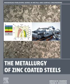 The Metallurgy of Zinc Coated Steels - 1st Edition