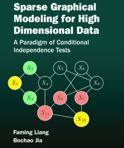 Sparse Graphical Modeling for High Dimensional Data - 1st Edition