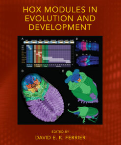 Hox Modules in Evolution and Development - 1st Edition