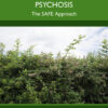 Team-Based Shared Formulation for Psychosis - 1st Edition