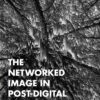 The Networked Image in Post-Digital Culture - 1st Edition