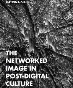 The Networked Image in Post-Digital Culture - 1st Edition