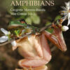 Evolutionary Ecology of Amphibians - 1st Edition