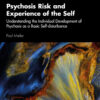 Psychosis Risk and Experience of the Self - 1st Edition