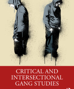 Critical and Intersectional Gang Studies - 1st Edition