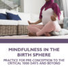 Mindfulness in the Birth Sphere - 1st Edition