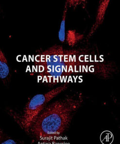 Cancer Stem Cells and Signaling Pathways - 1st Edition