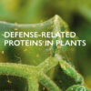 Defense-Related Proteins in Plants - 1st Edition