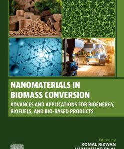 Nanomaterials in Biomass Conversion - 1st Edition