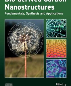 Bio-derived Carbon Nanostructures - 1st Edition