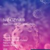 Nanozymes - 1st Edition