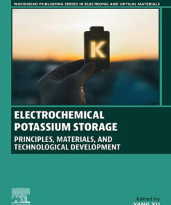Electrochemical Potassium Storage - 1st Edition