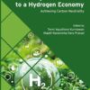 Accelerating the Transition to a Hydrogen Economy