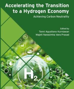 Accelerating the Transition to a Hydrogen Economy