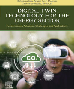 Digital Twin Technology for the Energy Sector