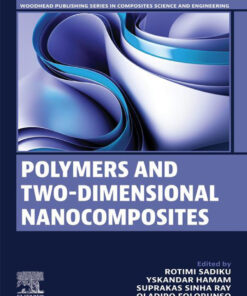 Polymers and Two-Dimensional Nanocomposites - 1st Edition