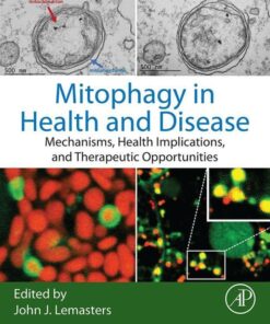 Mitophagy in Health and Disease