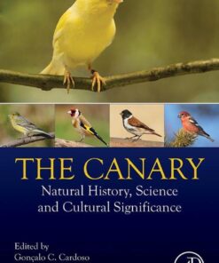 The Canary - 1st Edition
