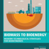Biomass to Bioenergy - 1st Edition
