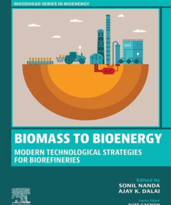 Biomass to Bioenergy - 1st Edition