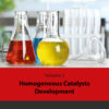 Homogeneous Catalysts Development - 1st Edition