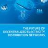 The Future of Decentralized Electricity Distribution Networks - 1st Edition