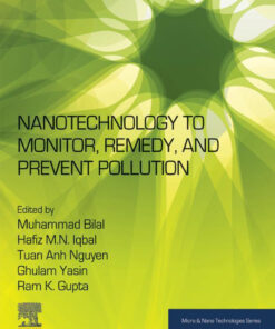 Nanotechnology to Monitor, Remedy, and Prevent Pollution - 1st Edition