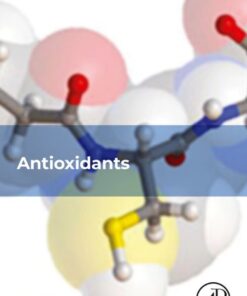 Antioxidants - 1st Edition