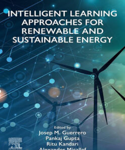 Intelligent Learning Approaches for Renewable and Sustainable Energy - 1st Edition