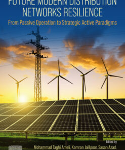 Future Modern Distribution Networks Resilience - 1st Edition