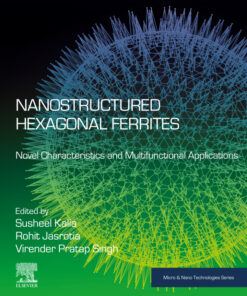 Nanostructured Hexagonal Ferrites - 1st Edition