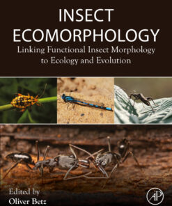 Insect Ecomorphology