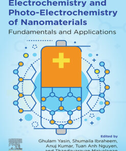 Electrochemistry and Photo-Electrochemistry of Nanomaterials - 1st Edition