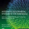 Integrated Silicon-Metal Systems at the Nanoscale - 1st Edition