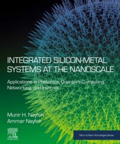 Integrated Silicon-Metal Systems at the Nanoscale - 1st Edition