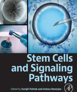 Stem Cells and Signaling Pathways - 1st Edition