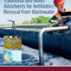 Traditional and Novel Adsorbents for Antibiotics Removal from Wastewater - 1st Edition