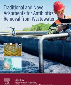 Traditional and Novel Adsorbents for Antibiotics Removal from Wastewater - 1st Edition