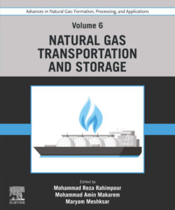 Advances in Natural Gas: Formation, Processing, and Applications. Volume 6: Natural Gas Transportation and Storage - 1st Edition