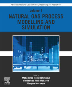 Advances in Natural Gas: Formation, Processing, and Applications. Volume 8: Natural Gas Process Modelling and Simulation - 1st Edition