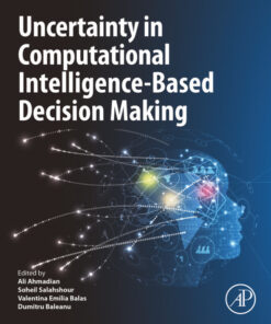 Uncertainty in Computational Intelligence-Based Decision Making - 1st Edition